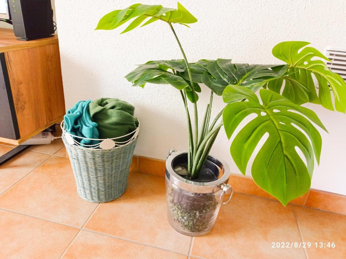 Appartamento Appart Douillet Chateau-Arnoux-Saint-Auban Esterno foto
